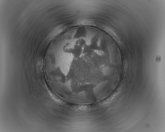 X0000091350841200708171429