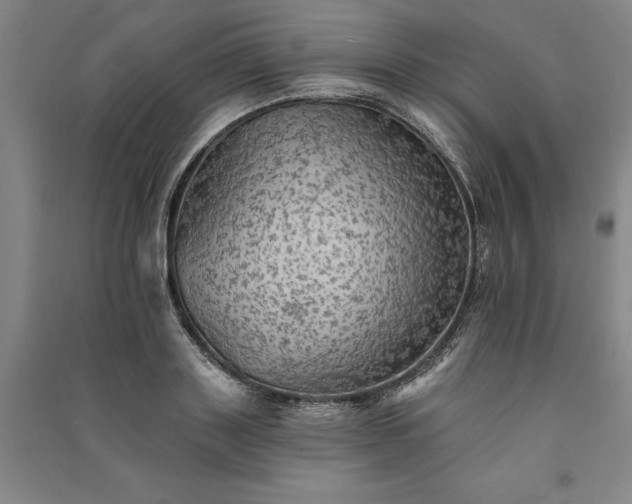 X0000091350843200708171429