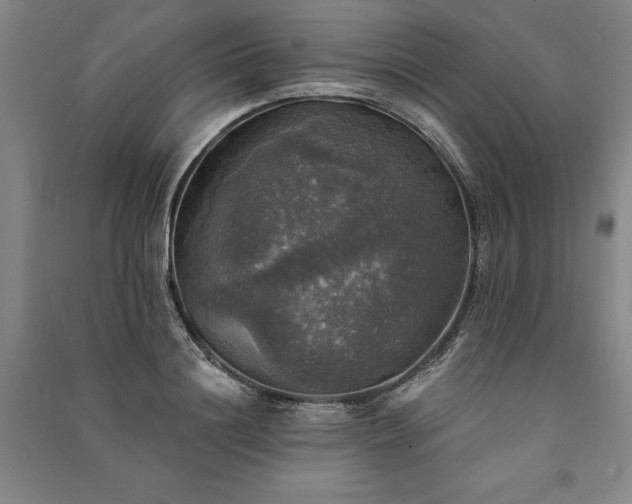 X0000091350844200708171429