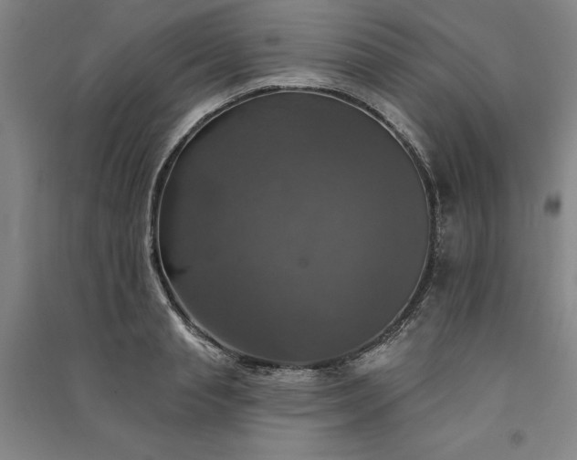 X0000091350845200708171429