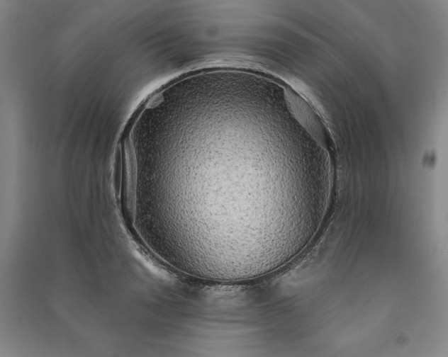 X0000091350846200708171429
