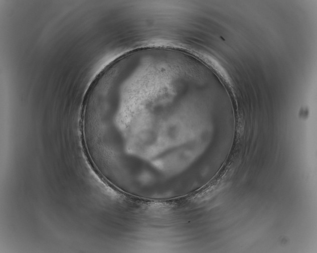 X0000091350847200708171429