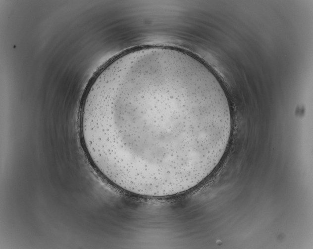 X0000091350848200708171429