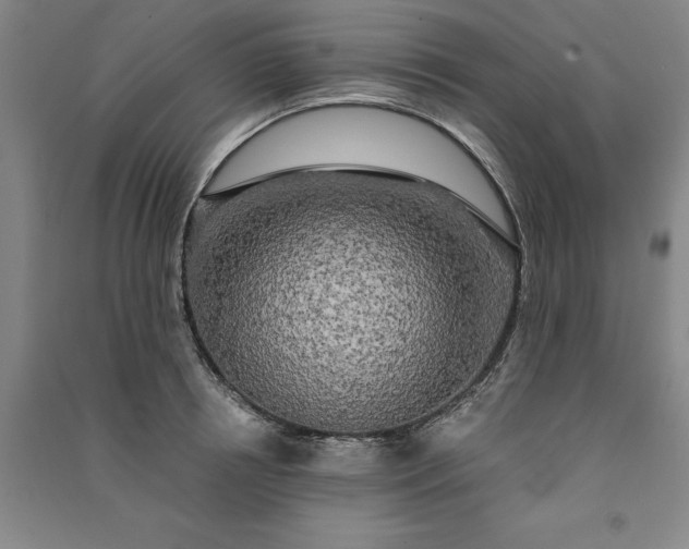 X0000091350850200708171430
