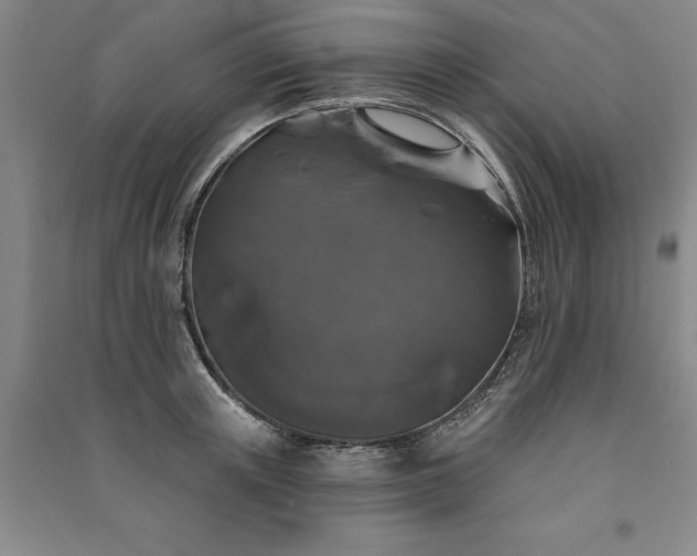 X0000091350851200708171430