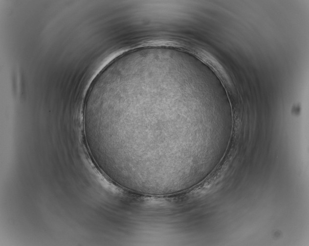 X0000091350852200708171430