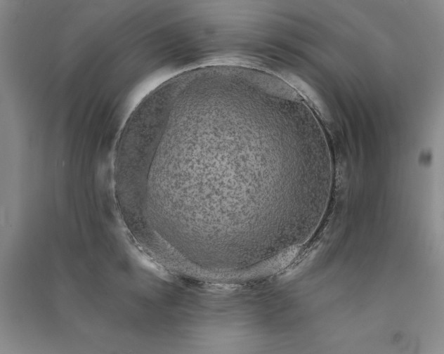X0000091350854200708171430
