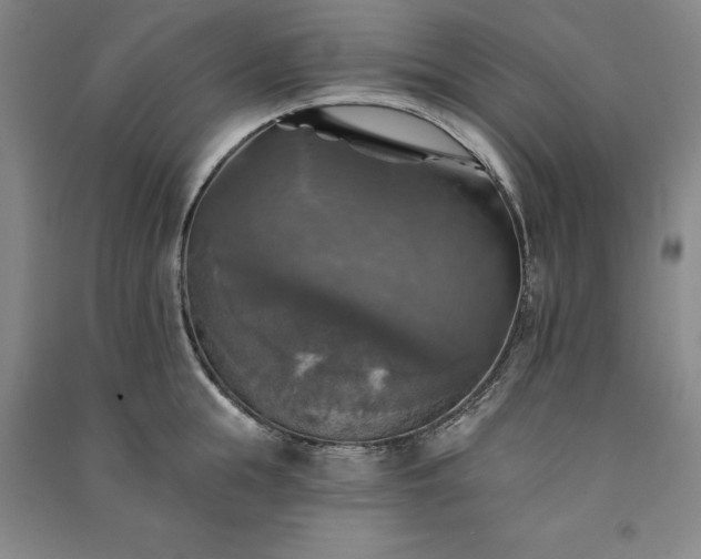 X0000091350855200708171430