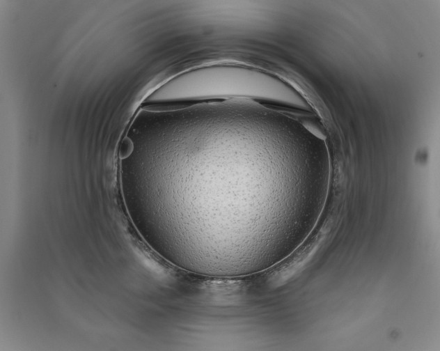 X0000091350858200708171430