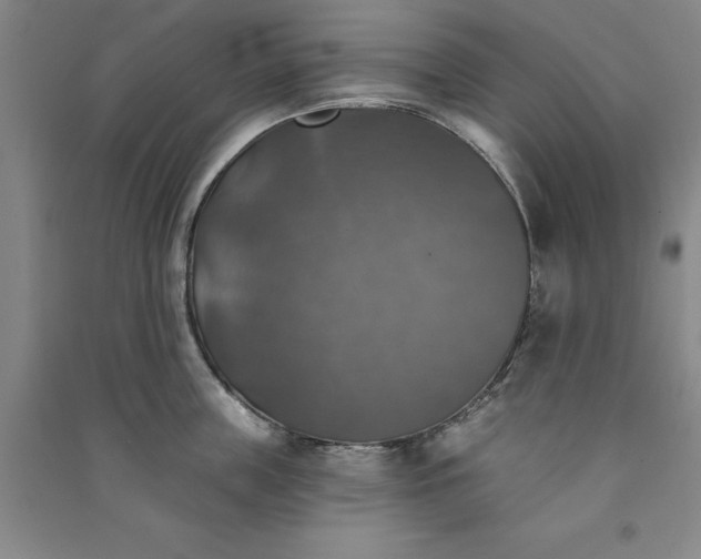 X0000091350859200708171430