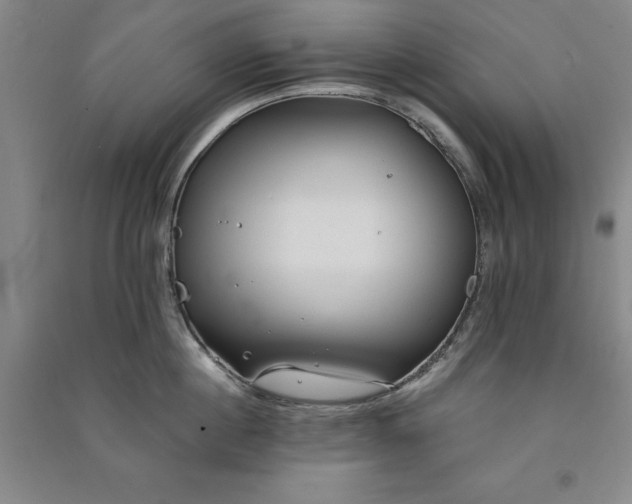 X0000091350860200708171430