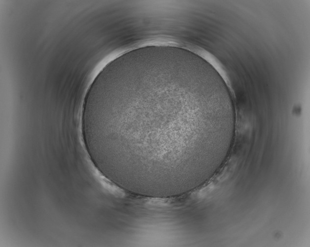 X0000091350861200708171430