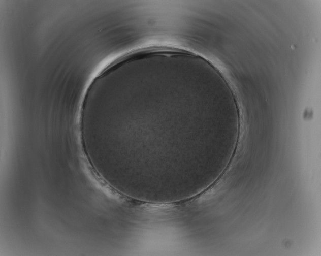 X0000091350864200708171430