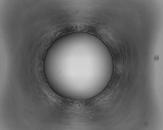 X0000091350865200708171429