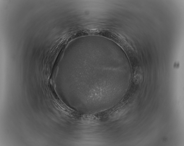 X0000091350866200708171429