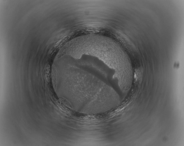 X0000091350867200708171429