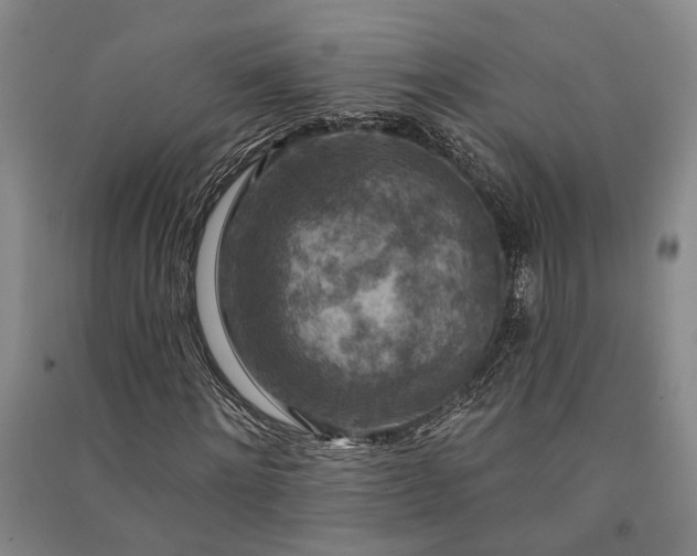 X0000091350868200708171429