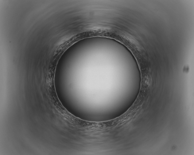 X0000091350869200708171429