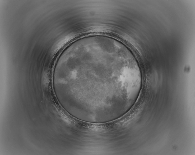X0000091350874200708171429