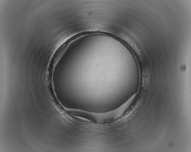 X0000091350876200708171429
