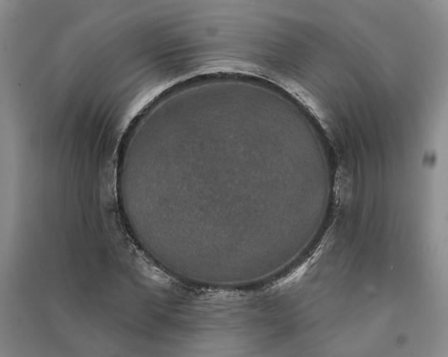 X0000091350877200708171429