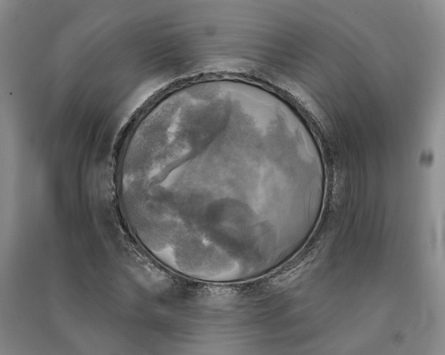X0000091350878200708171429