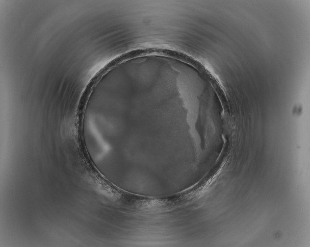 X0000091350879200708171429