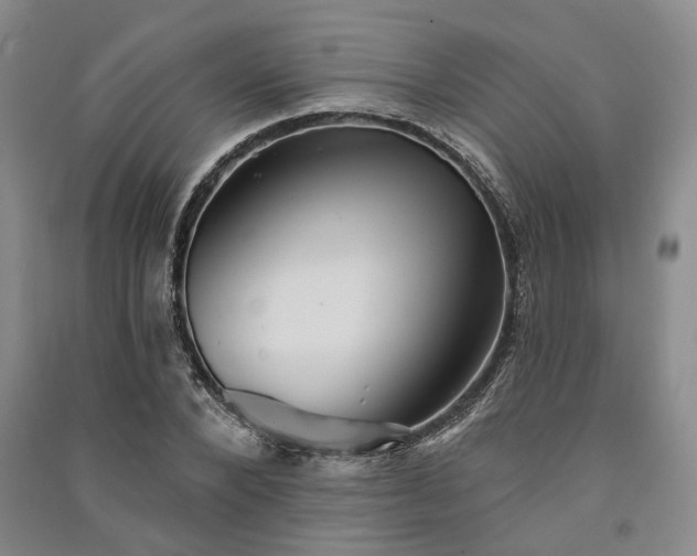 X0000091350880200708171429