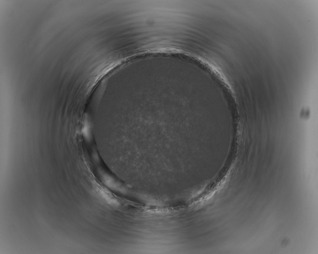 X0000091350881200708171429