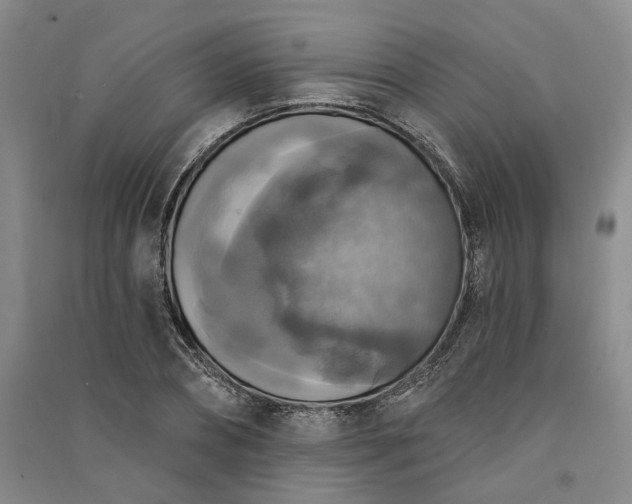 X0000091350882200708171429