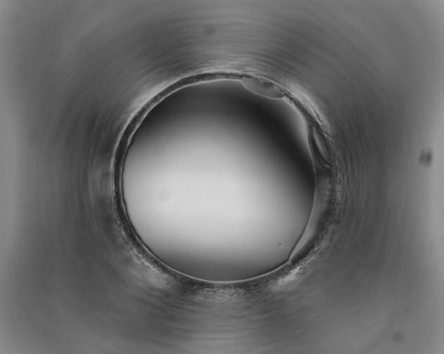 X0000091350884200708171429