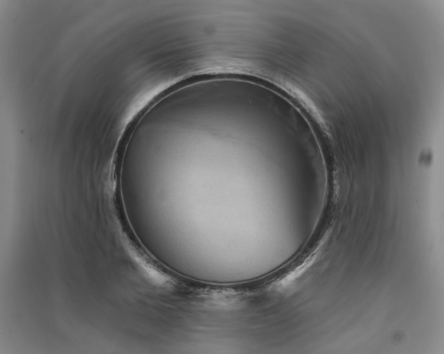 X0000091350885200708171429