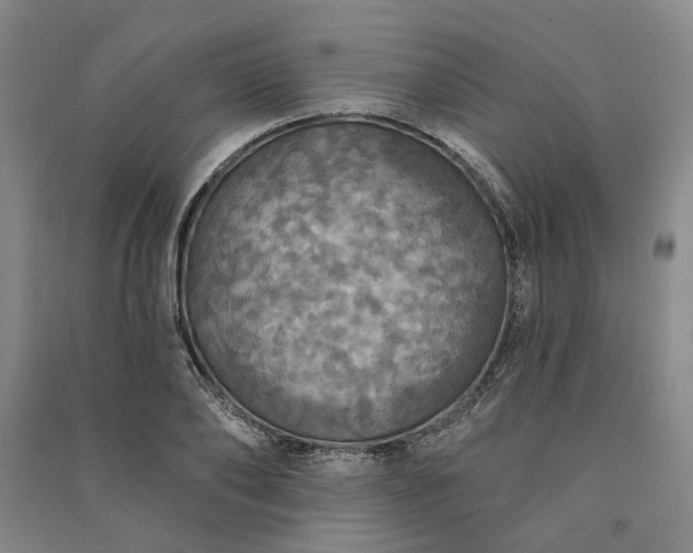 X0000091350886200708171429