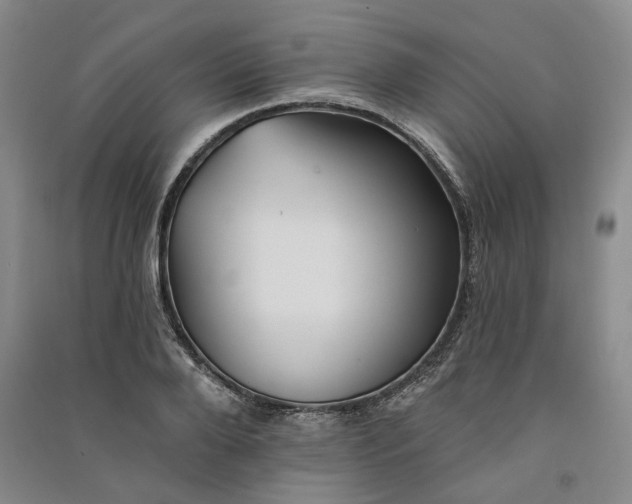 X0000091350888200708171429