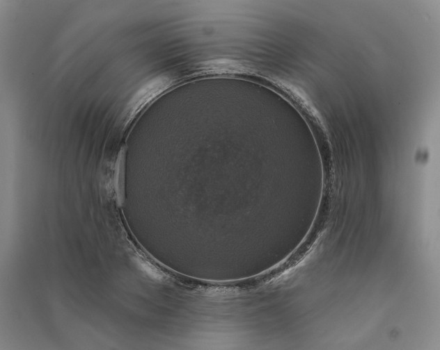 X0000091350889200708171429