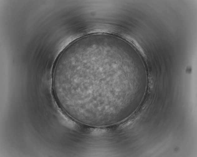 X0000091350890200708171429