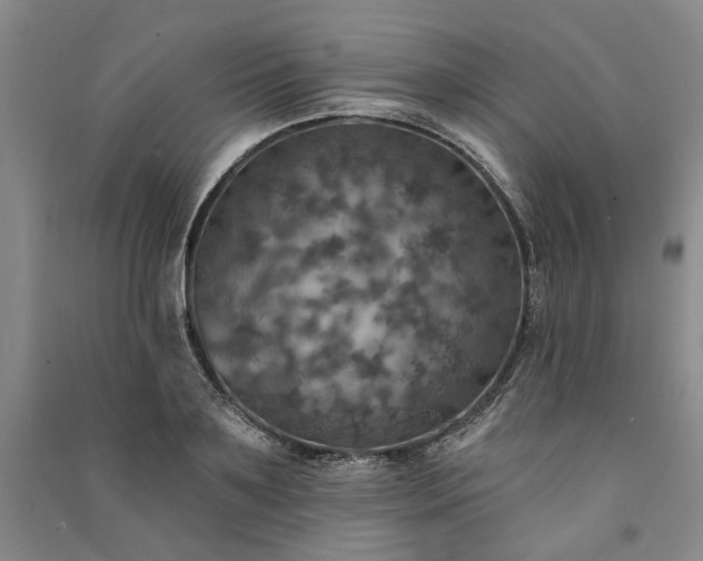 X0000091350891200708171429