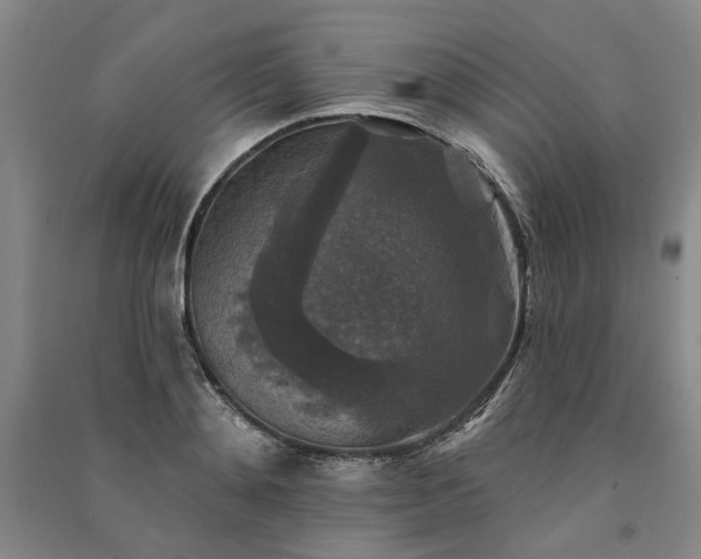 X0000091350892200708171429