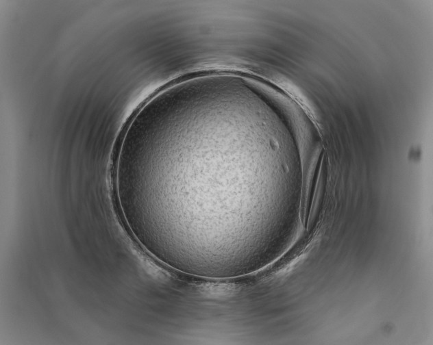 X0000091350893200708171429