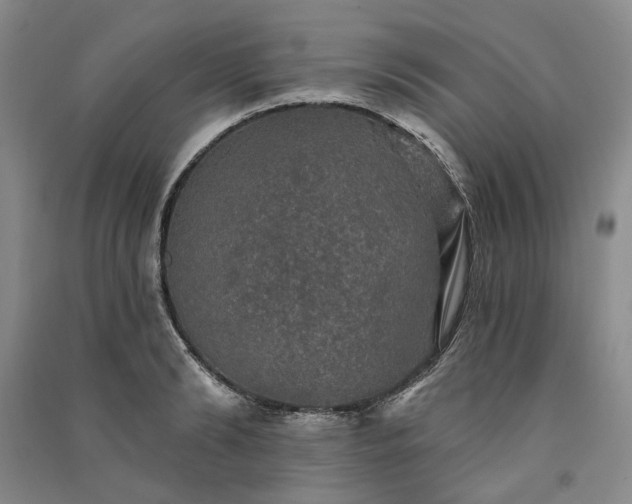 X0000091350894200708171429
