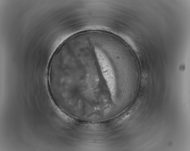 X0000091350895200708171429