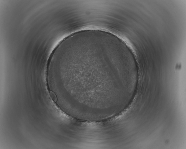 X0000091350896200708171429
