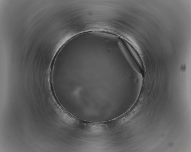 X0000091350899200708171428