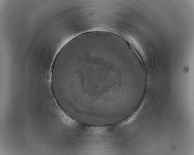X0000091350900200708171428