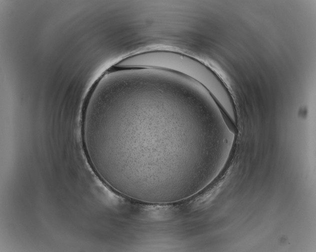 X0000091350902200708171428