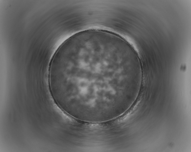 X0000091350903200708171428