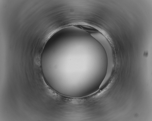 X0000091350905200708171428