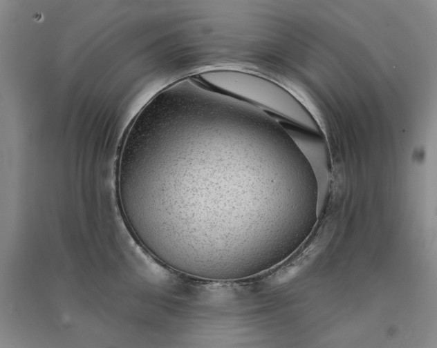 X0000091350906200708171428