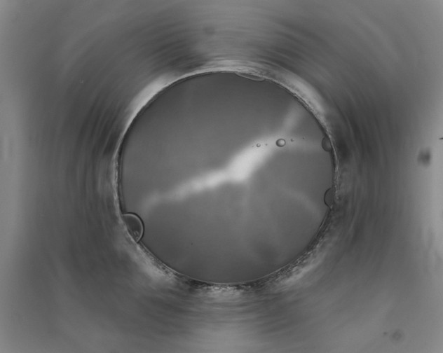 X0000091350907200708171428