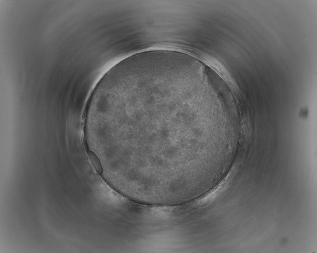 X0000091350908200708171428